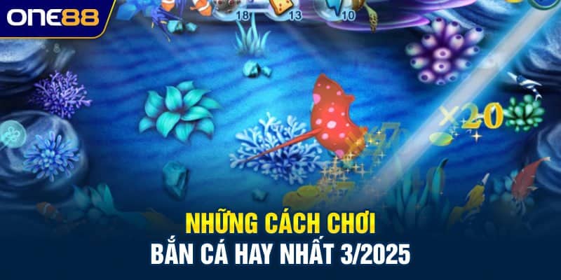 Những cách chơi bắn cá hay nhất 3/2025