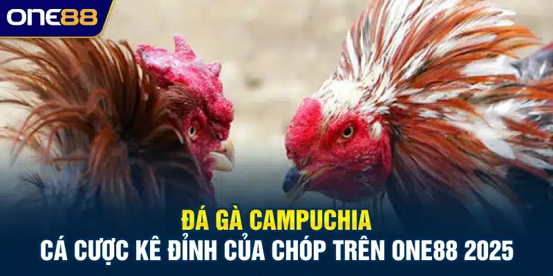 Đá gà Campuchia