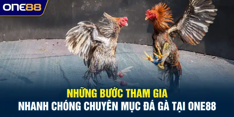 Những bước tham gia nhanh chóng chuyên mục đá gà tại ONE88