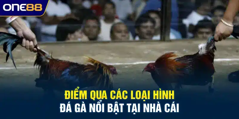 Điểm qua các loại hình đá gà nổi bật tại nhà cái