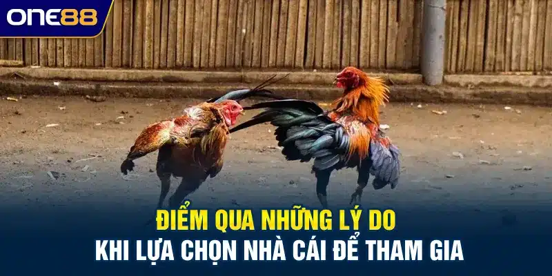 Điểm qua những lý do khi lựa chọn nhà cái để tham gia