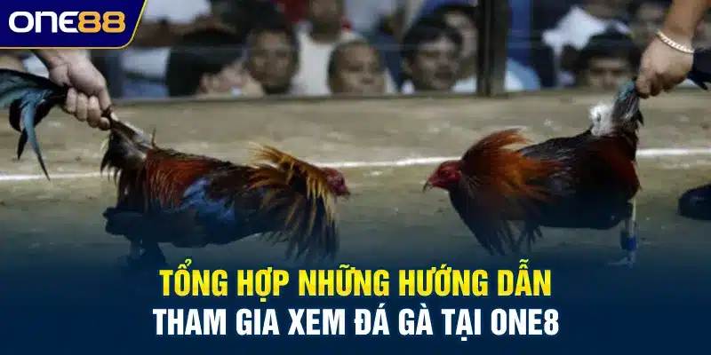 Tổng hợp những hướng dẫn tham gia xem đá gà tại ONE88