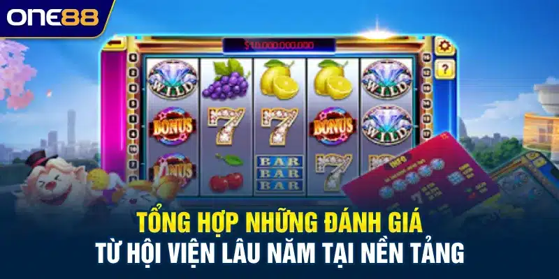 Tổng hợp những đánh giá từ hội viện lâu năm tại nền tảng